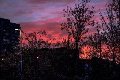 Bare trees against sky at sunset