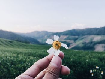 Close-up of hand holding flower against landscape