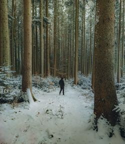 Person walking on snow covered land during winter