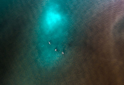 High angle view of people swimming in sea