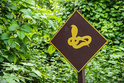 Close-up of snake sign against plants