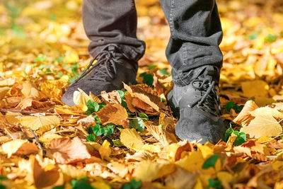 Low section of person standing on dry leaves