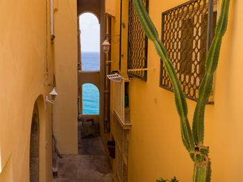 Buildings against sky seen through window