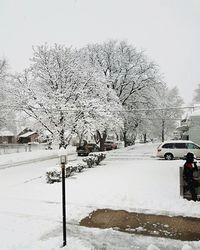 Snow covered trees against sky