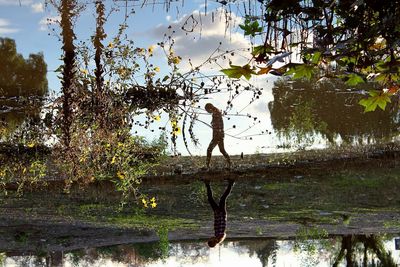Reflection of tree in lake against sky