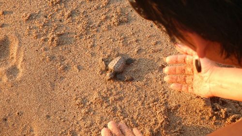 Cropped image of person standing on beach
