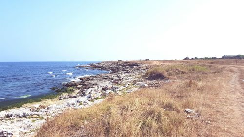 Scenic view of sea against clear sky