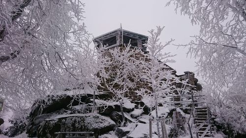 Building with trees in background