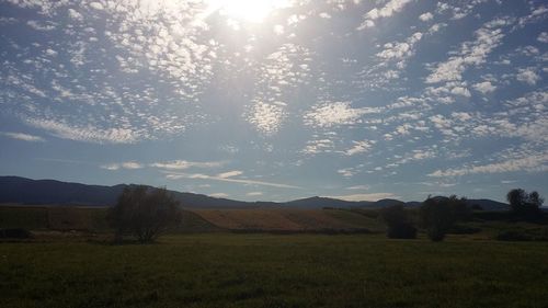 Scenic view of landscape against cloudy sky