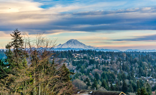 A view of mount rainier with clouds above.