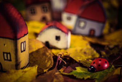 Close-up of wooden houses and artificial lady bug decorated on table