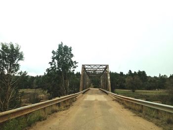 Road along trees