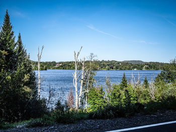 Scenic view of river against blue sky