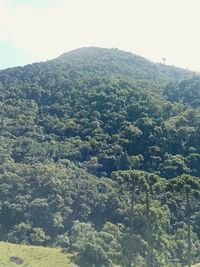 High angle view of land against sky