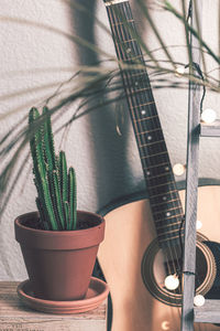 High angle view of potted plants on table