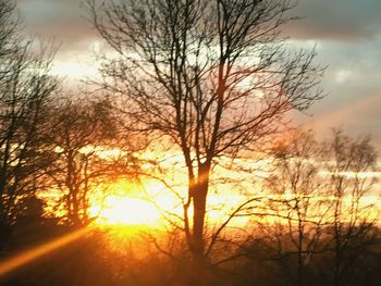 Low angle view of bare trees against sunset sky