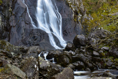 Scenic view of waterfall in forest