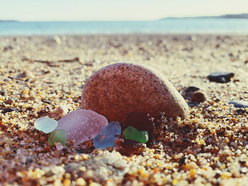 Close-up of stones on beach