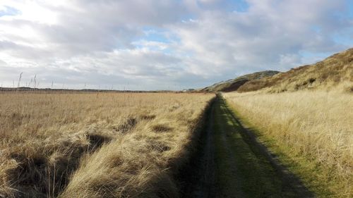 Scenic view of farm against sky