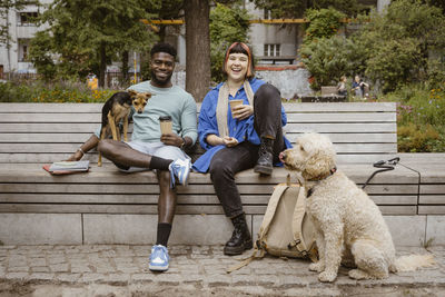 Happy young man and woman holding disposable coffee cups while sitting with dogs in park