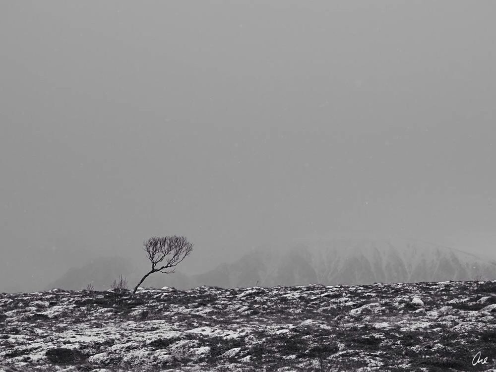 clear sky, tranquil scene, tranquility, copy space, beauty in nature, scenics, nature, winter, cold temperature, snow, water, weather, landscape, non-urban scene, idyllic, day, outdoors, remote, no people, season