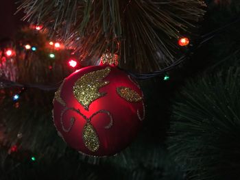 Close-up of christmas tree at night