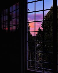 Reflection of trees on glass window