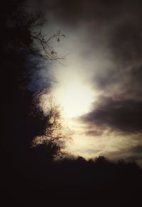 Low angle view of silhouette trees against sky during sunset