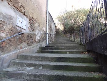 Steps amidst trees against sky