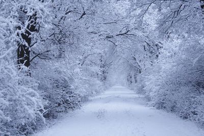 View of snow covered landscape