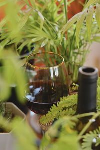 Close-up of drink on table