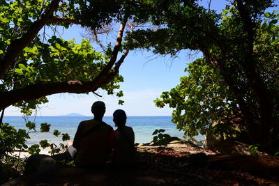 Rear view of couple sitting on tree against sky