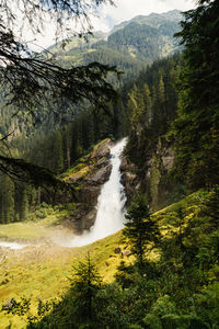 Scenic view of waterfall in forest