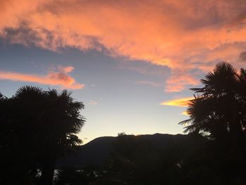 Silhouette trees against sky during sunset