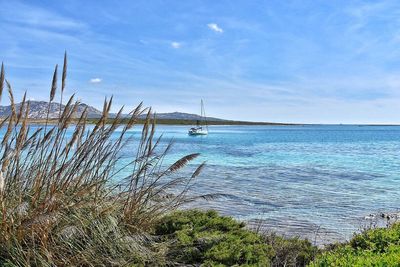 Scenic view of sea against blue sky