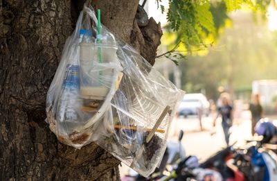 Close-up of garbage in polythene by road 