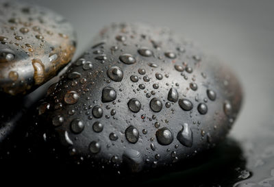 Close-up of wet glass on table