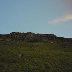 Scenic view of field against clear sky