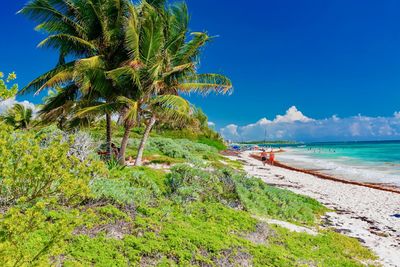 Scenic view of sea against blue sky