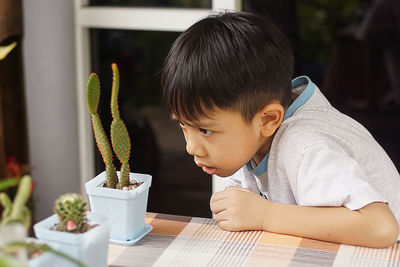 Boy looking at potted plant on table