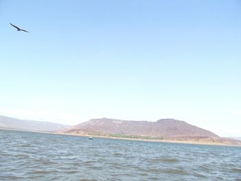 Scenic view of sea against clear sky