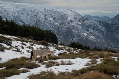 Scenic view of mountains against sky during winter