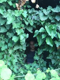 Portrait of young man standing by plants