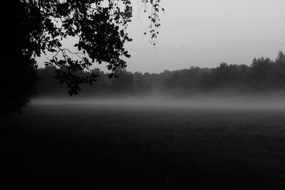 Trees on field against sky during foggy weather