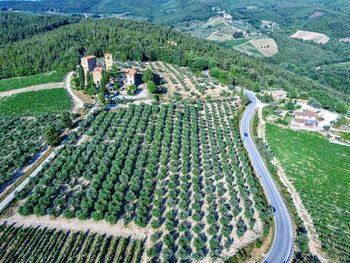 High angle view of agricultural landscape