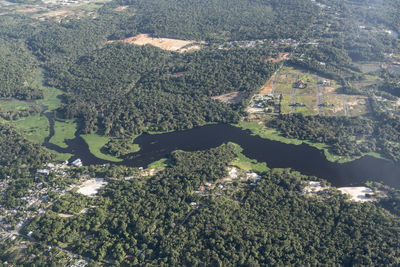 Beautiful aerial view to flooded amazon rainforest and river