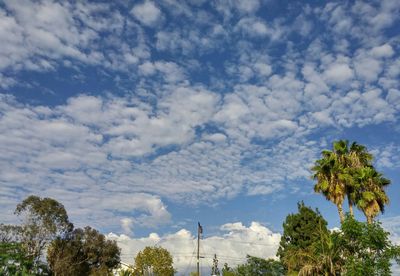 Low angle view of trees against cloudy sky