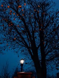 Low angle view of illuminated street light against sky at night