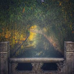 High angle view of tree by lake