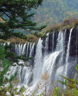 Scenic view of waterfall in forest